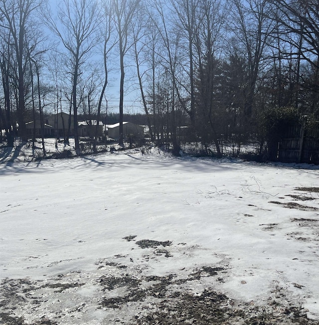 view of yard layered in snow