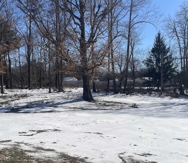 view of yard layered in snow