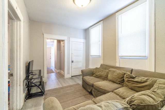 living room with light hardwood / wood-style flooring