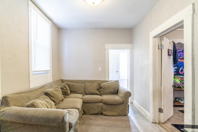 living room featuring light hardwood / wood-style floors