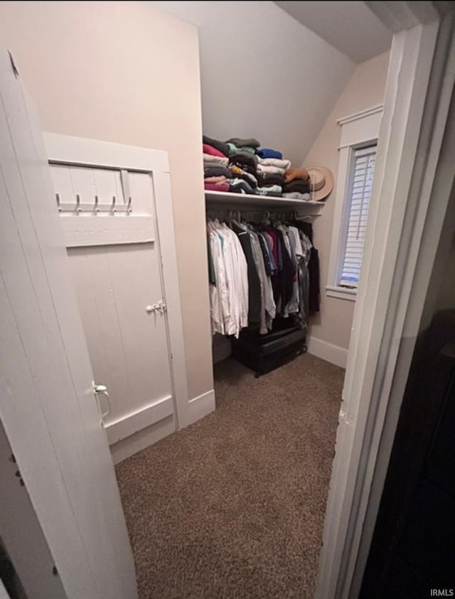 spacious closet with vaulted ceiling and carpet floors