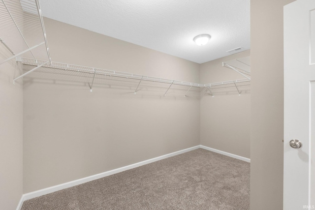 walk in closet with carpet flooring