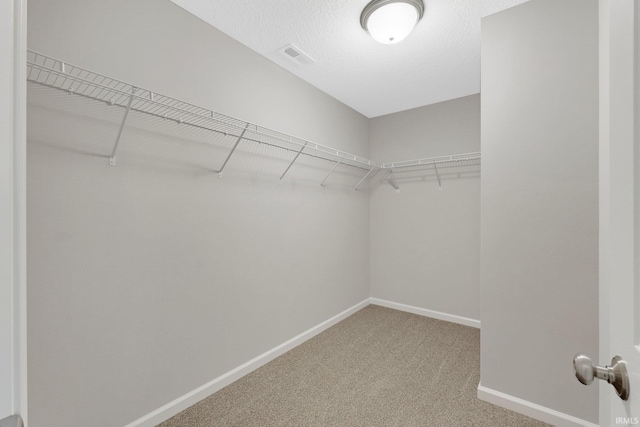 spacious closet featuring carpet flooring