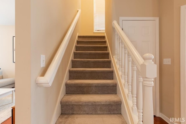 stairs with carpet floors