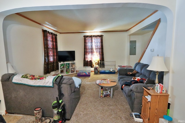 living room featuring carpet floors and electric panel