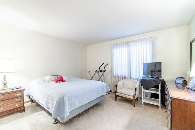 4980 N 300 W, Fremont, IN 46737 - view of carpeted bedroom