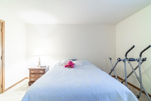 4980 N 300 W, Fremont, IN 46737 - view of carpeted bedroom
