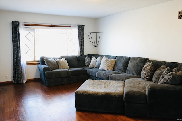 living room with dark hardwood / wood-style flooring