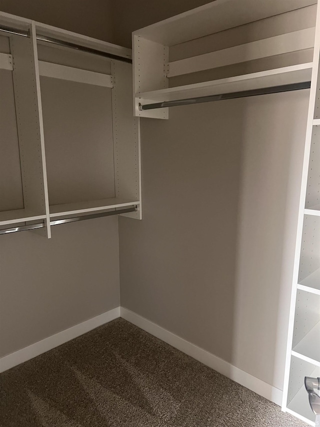 walk in closet with dark colored carpet