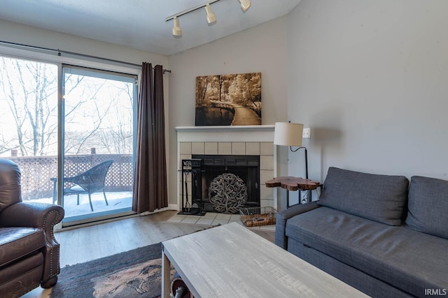 living room featuring a fireplace, light hardwood / wood-style flooring, and track lighting