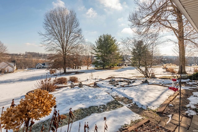 view of yard covered in snow