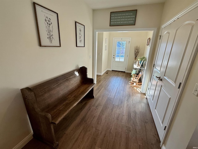 entryway featuring dark hardwood / wood-style flooring