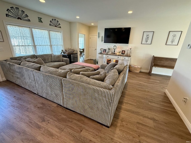 living room with hardwood / wood-style flooring