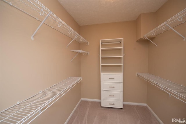 spacious closet with carpet