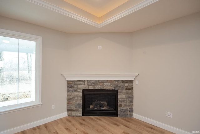 room details featuring a fireplace, a raised ceiling, and hardwood / wood-style floors