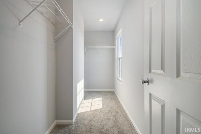 spacious closet featuring light colored carpet