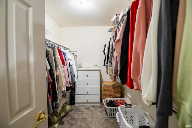 walk in closet featuring carpet flooring