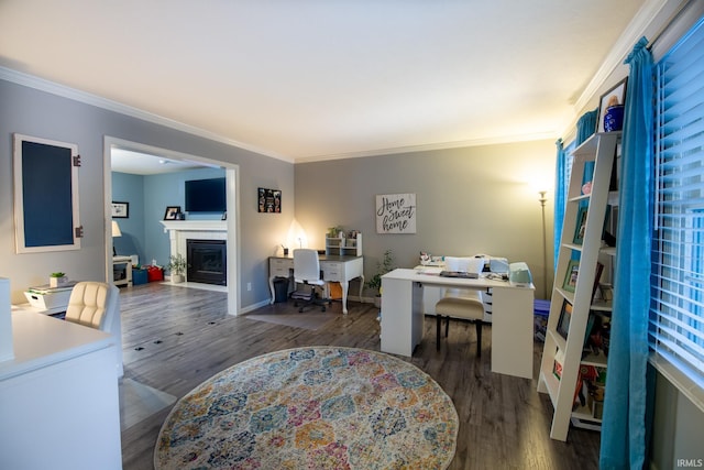 office with crown molding and dark hardwood / wood-style floors