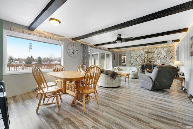 dining space featuring ceiling fan, a stone fireplace, hardwood / wood-style floors, and beam ceiling