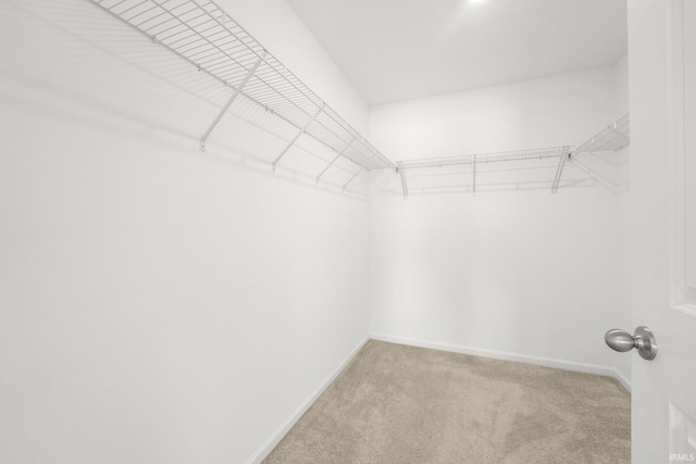 spacious closet with light colored carpet