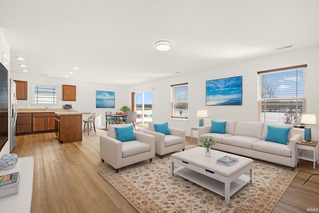 living room with plenty of natural light, sink, and light hardwood / wood-style floors