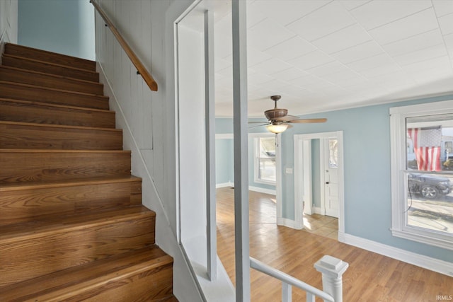 stairs featuring hardwood / wood-style floors and ceiling fan