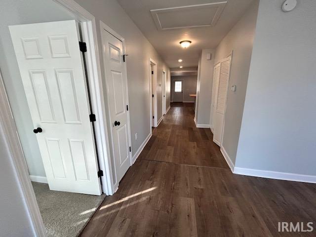 corridor with dark wood-type flooring