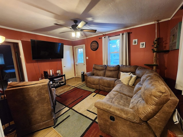 living room featuring ornamental molding, ceiling fan, and light hardwood / wood-style flooring