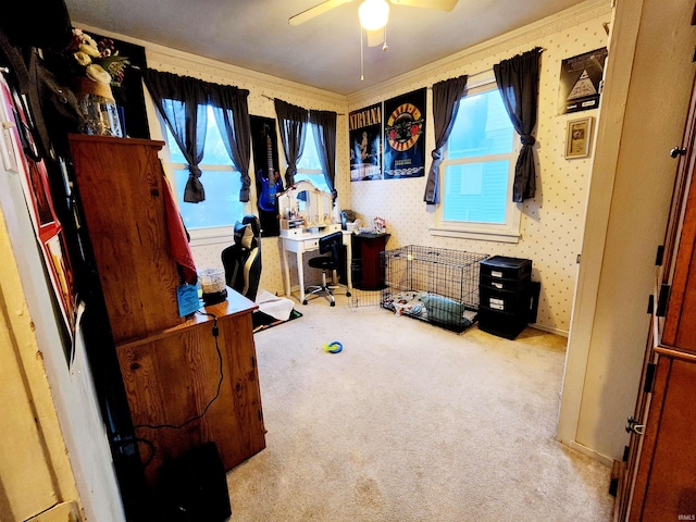 interior space with multiple windows and ceiling fan