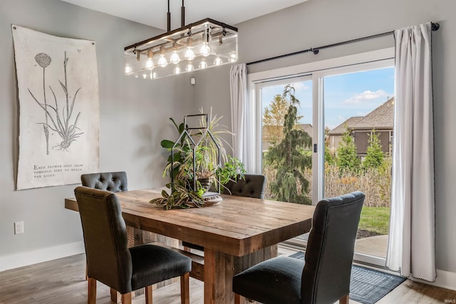 dining area featuring hardwood / wood-style flooring