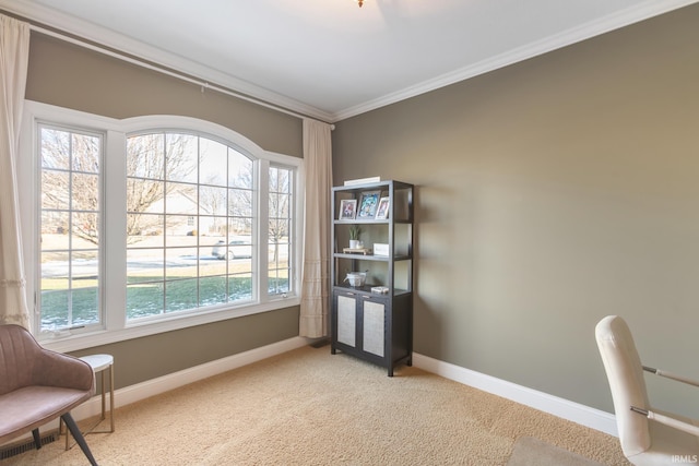 sitting room featuring crown molding and carpet