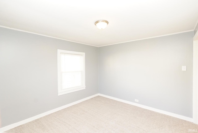 empty room with crown molding and carpet