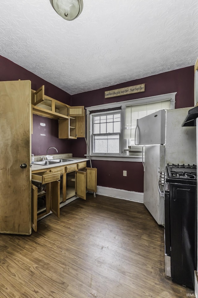 kitchen featuring sink, dark hardwood / wood-style floors, gas stove, and a textured ceiling