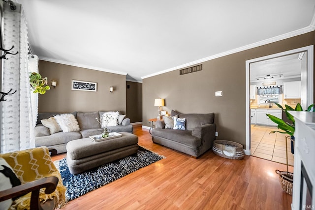 living room featuring crown molding, sink, hardwood / wood-style flooring, and rail lighting