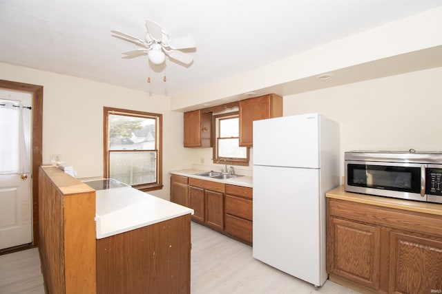 kitchen featuring sink, light wood-type flooring, white refrigerator, ceiling fan, and black electric cooktop