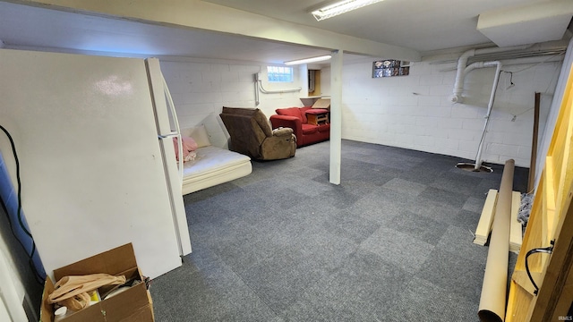 basement with white refrigerator