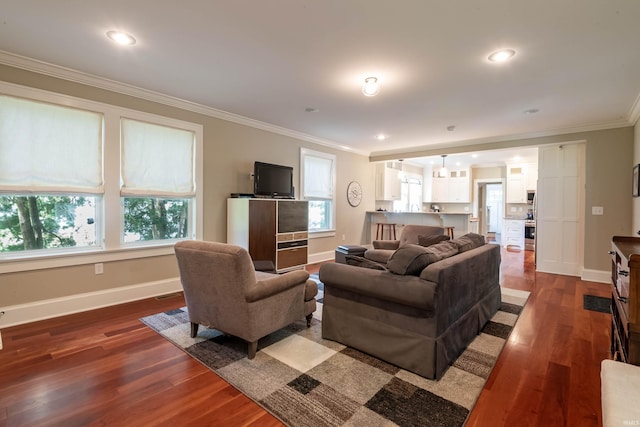 living room with crown molding and dark hardwood / wood-style floors