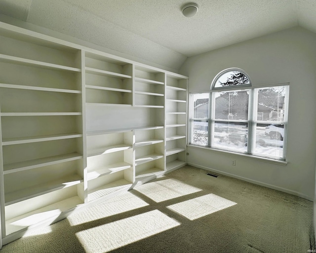 interior space with vaulted ceiling and carpet