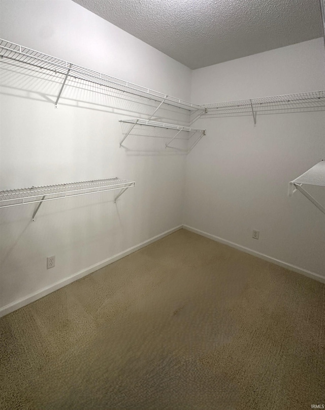 spacious closet with carpet