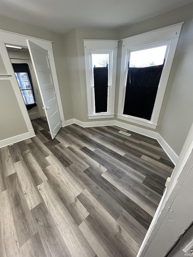 interior space featuring a healthy amount of sunlight and dark hardwood / wood-style floors