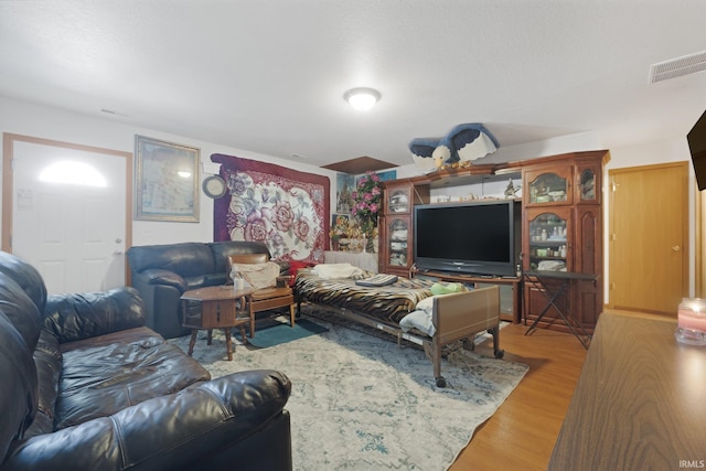 living room with hardwood / wood-style floors