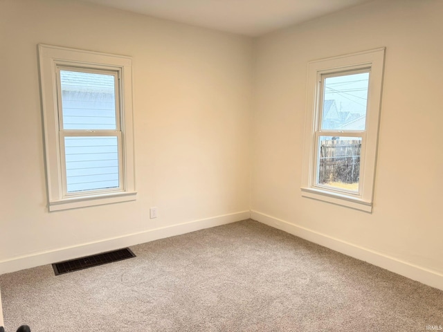 empty room featuring carpet flooring and a wealth of natural light