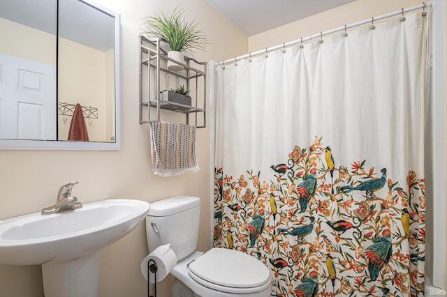 bathroom featuring a shower with curtain, sink, and toilet