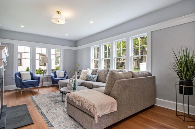 living room with hardwood / wood-style floors