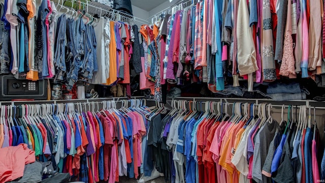 view of spacious closet