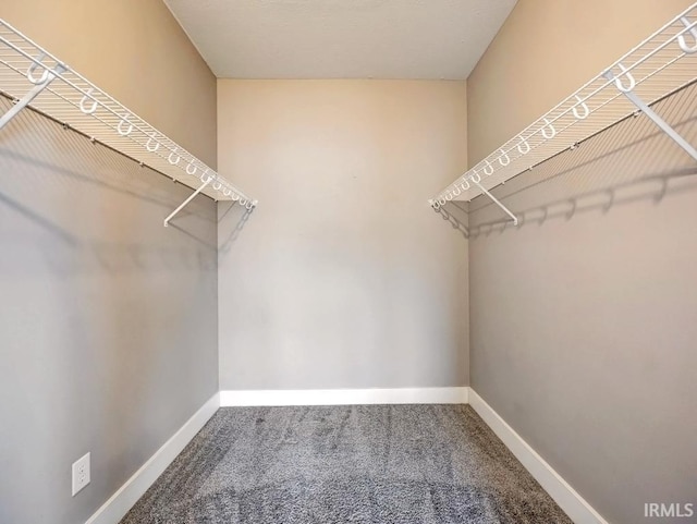 spacious closet with carpet