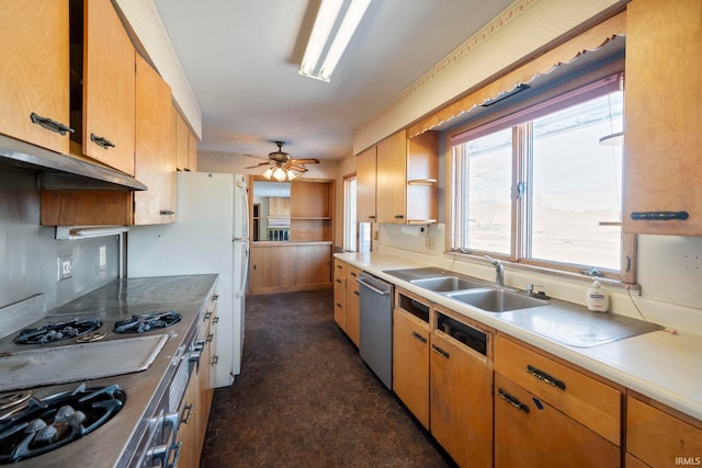 kitchen with sink, stovetop, dishwasher, and ceiling fan