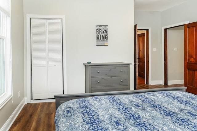 bedroom with multiple windows, dark hardwood / wood-style floors, and a closet