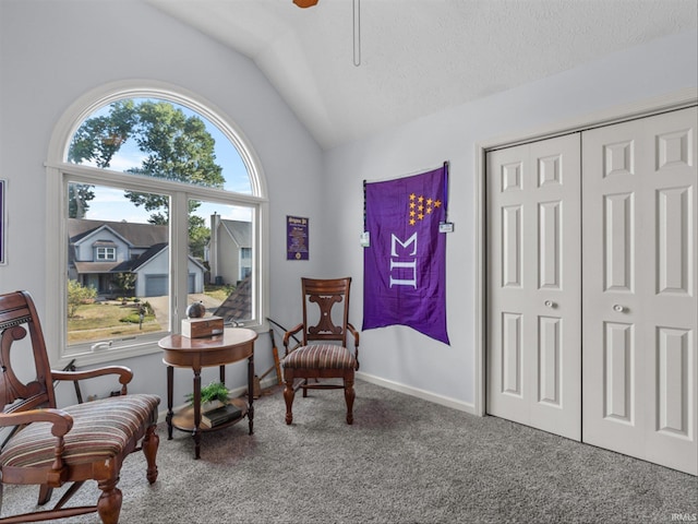 sitting room featuring vaulted ceiling, carpet, ceiling fan, and a textured ceiling