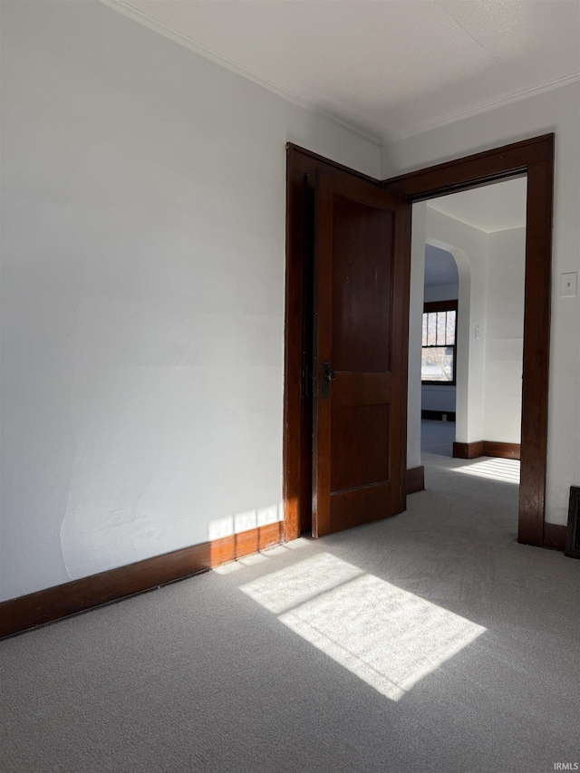 spare room featuring carpet floors